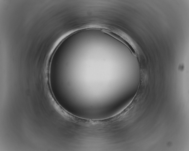 X0000097611148200802291256