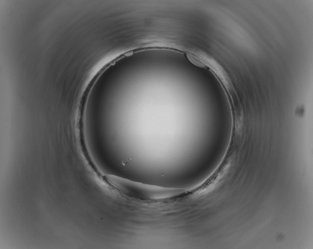 X0000097611149200802291256