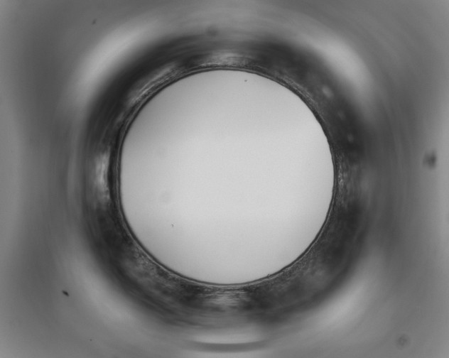 X0000097611150200802291256