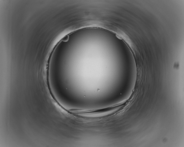 X0000097611151200802291256