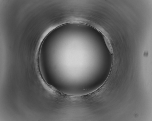 X0000097611152200802291256