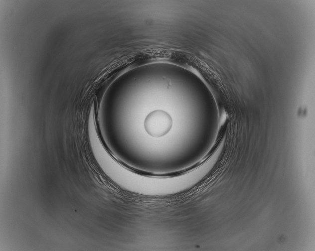 X0000097611154200802291255