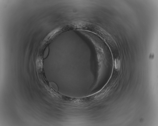 X0000097611155200802291255