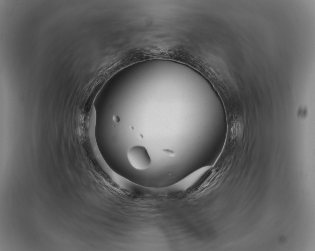 X0000097611156200802291255
