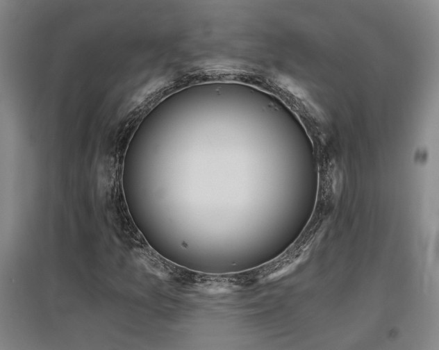 X0000097611157200802291255