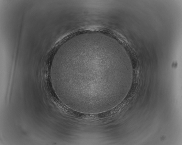 X0000097611158200802291255