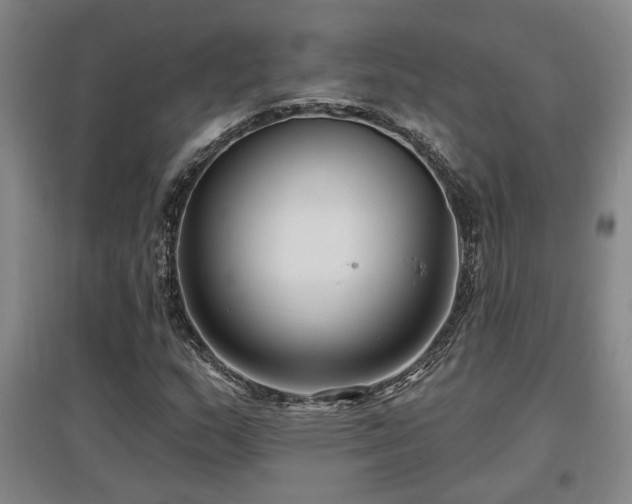 X0000097611159200802291255