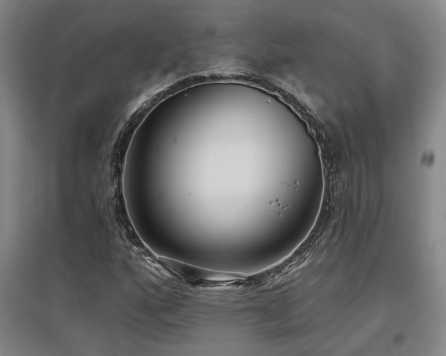 X0000097611160200802291255