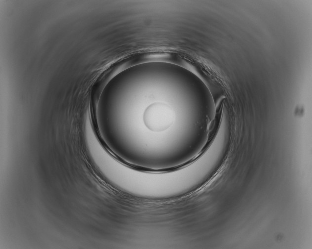 X0000097611161200802291255
