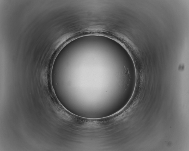 X0000097611162200802291255