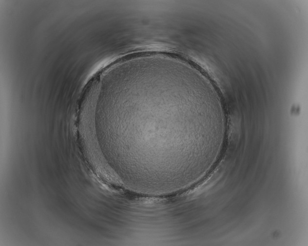 X0000097611163200802291255