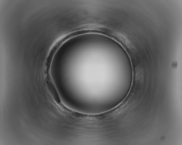 X0000097611164200802291255