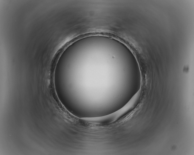 X0000097611165200802291255