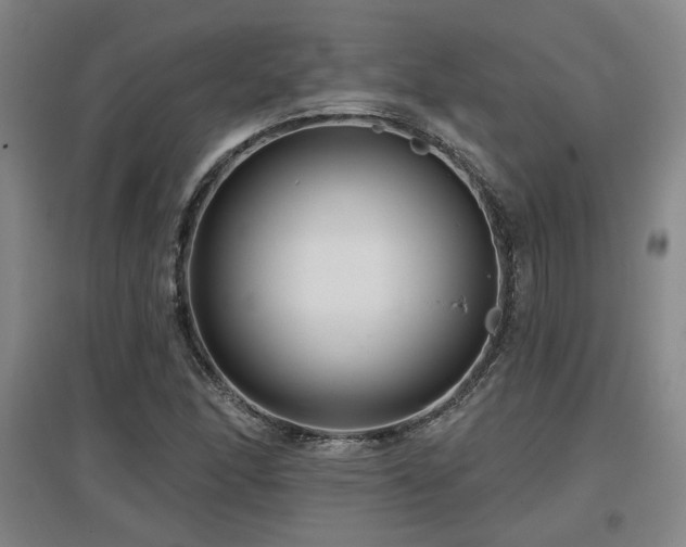 X0000097611166200802291255