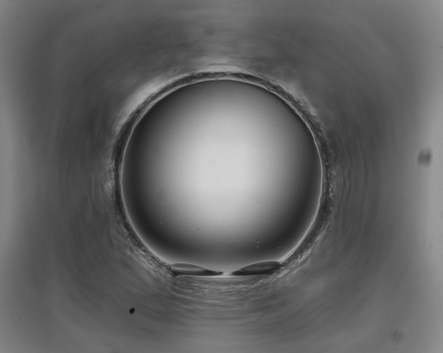 X0000097611167200802291255