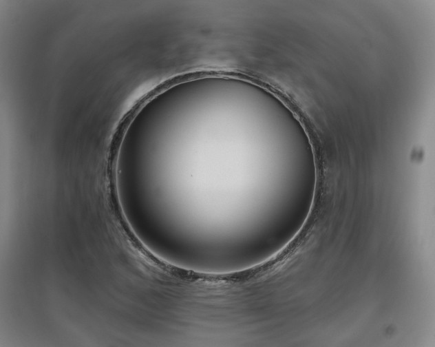 X0000097611168200802291255