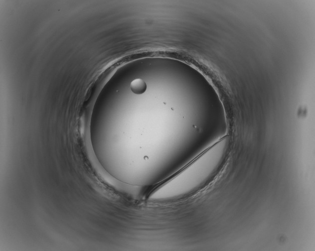 X0000097611169200802291255