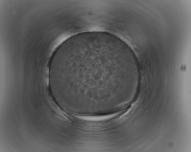 X0000097611171200802291255