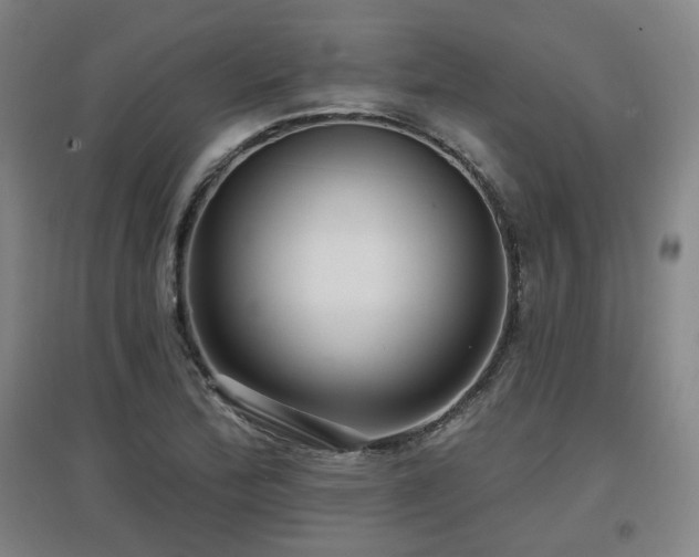 X0000097611172200802291255