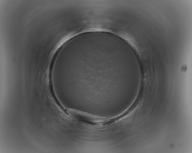 X0000097611173200802291255