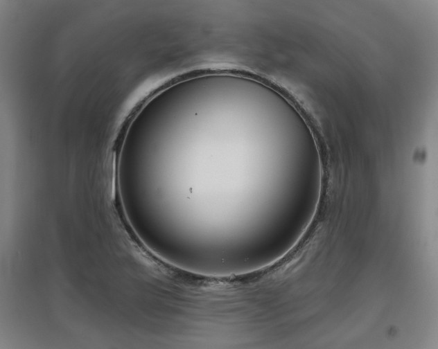 X0000097611175200802291255