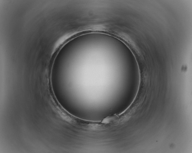 X0000097611176200802291255
