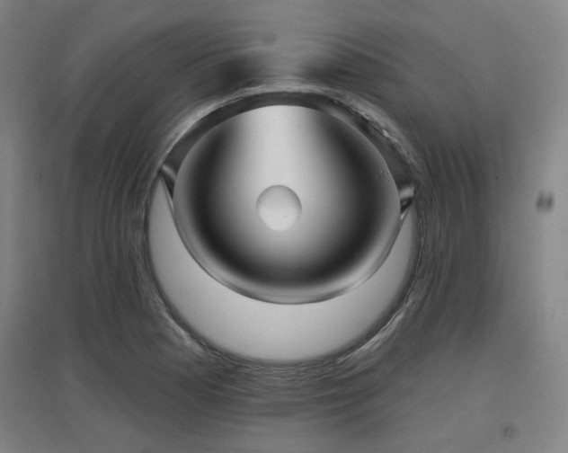 X0000097611177200802291255