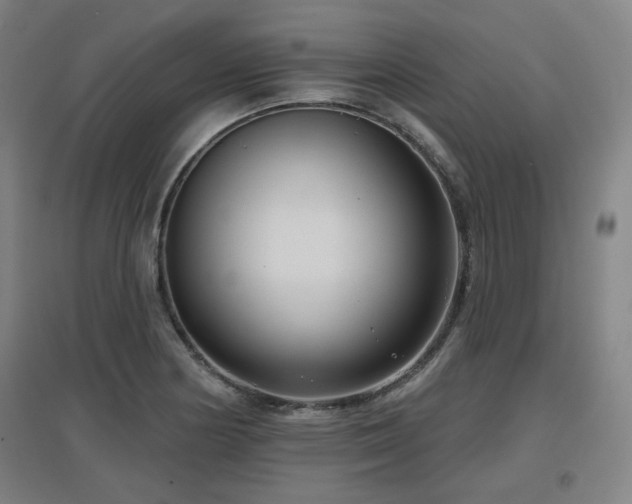 X0000097611178200802291255