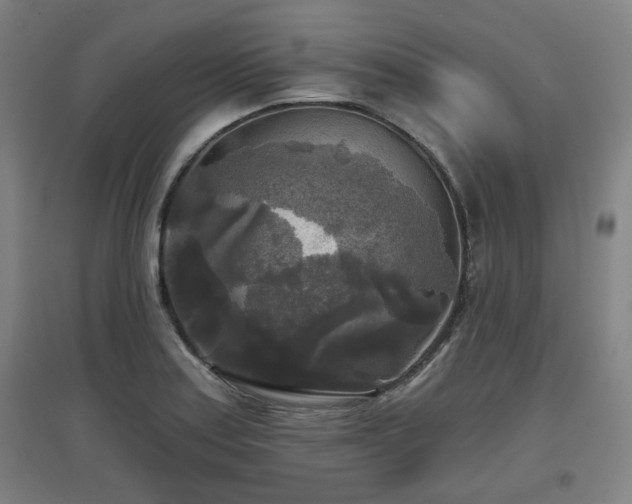 X0000097611179200802291255