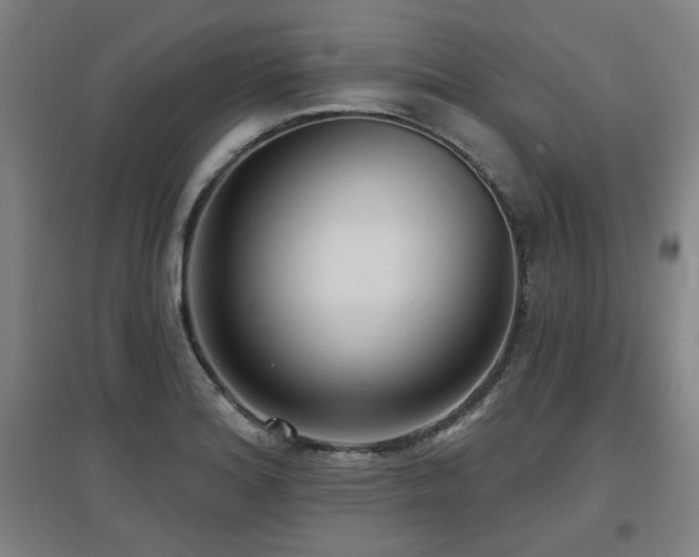 X0000097611180200802291255