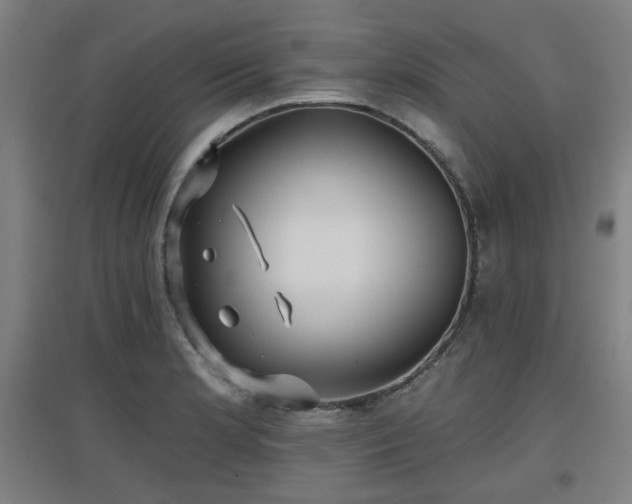 X0000097611181200802291255