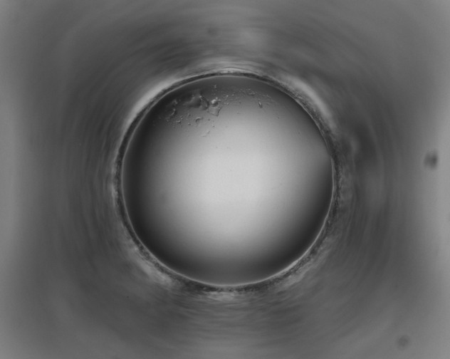 X0000097611182200802291255