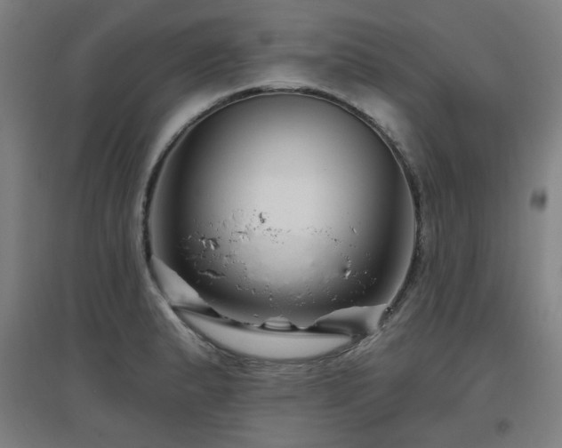 X0000097611183200802291255