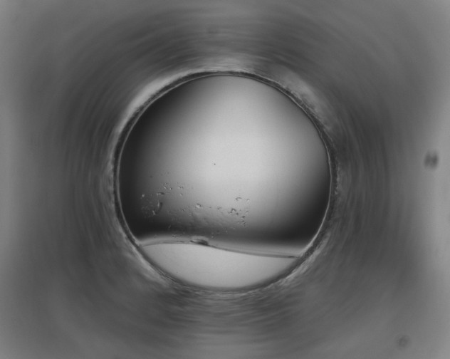 X0000097611184200802291255