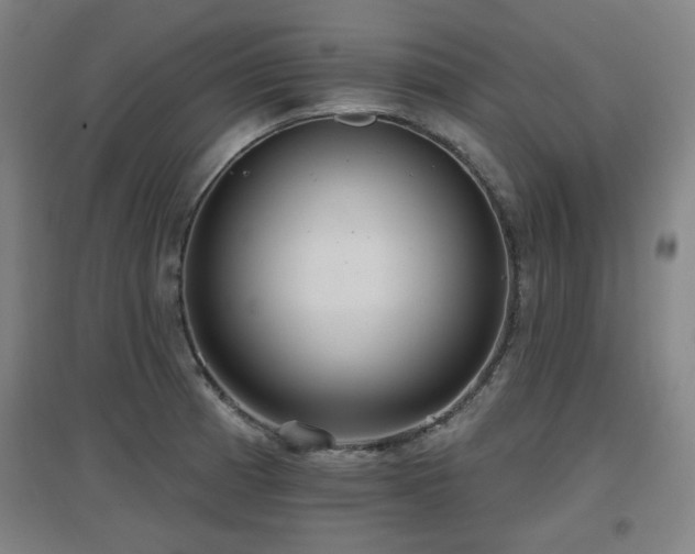X0000097611185200802291255
