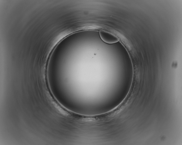 X0000097611186200802291255