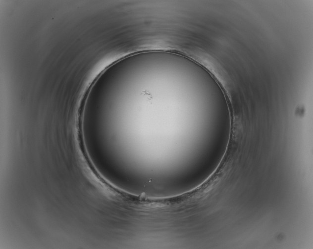 X0000097611187200802291255