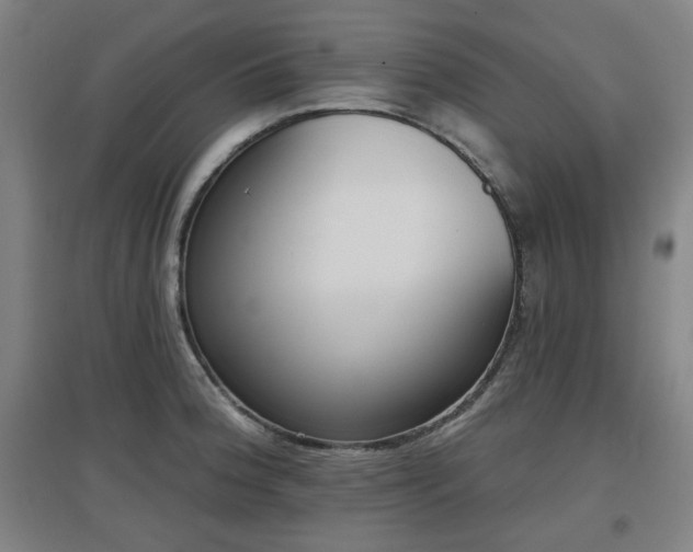 X0000097611188200802291255