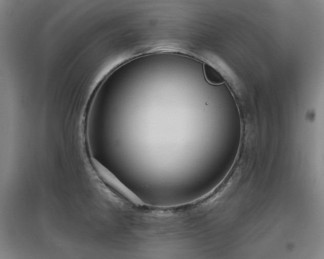 X0000097611190200802291255