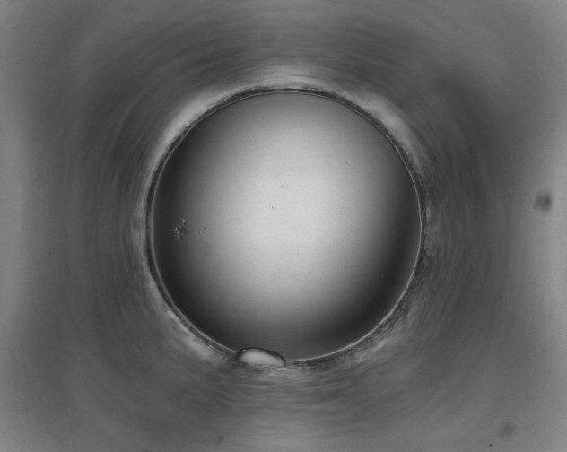 X0000097611191200802291255