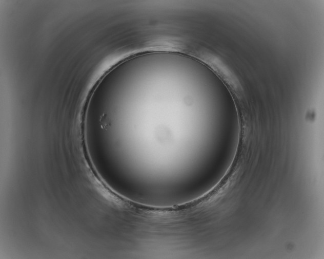 X0000097611192200802291255