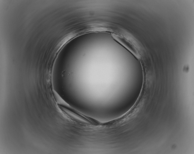 X0000097611193200802291255