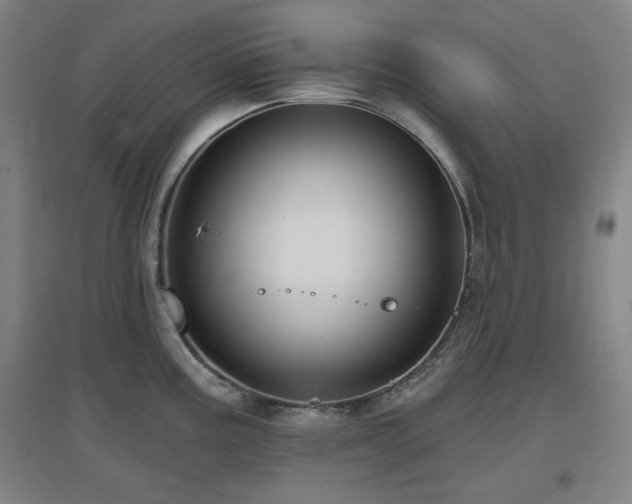X0000097611195200802291255