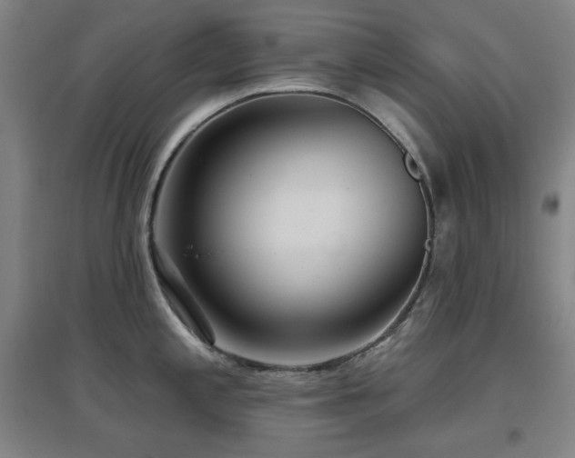 X0000097611197200802291255