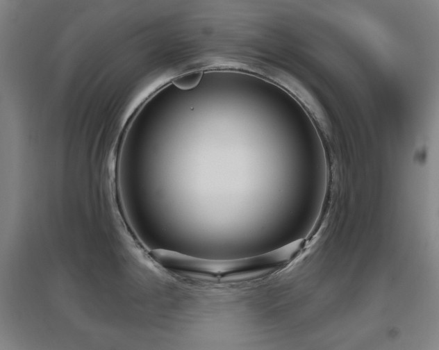 X0000097611198200802291255