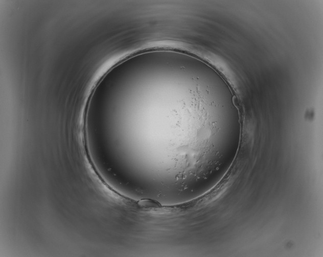 X0000097611199200802291255