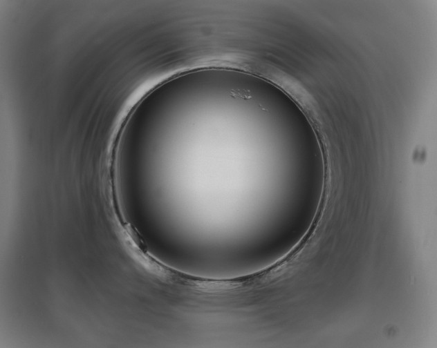 X0000097611200200802291255