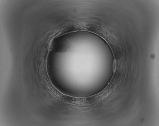 X0000097611201200802291254