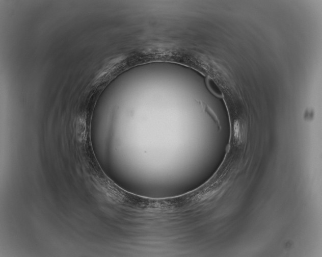 X0000097611203200802291254