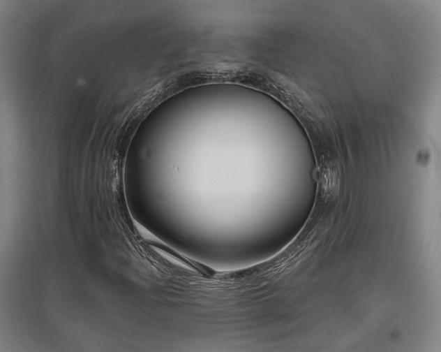 X0000097611204200802291254